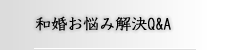 �a�����Y�݉���Q&A